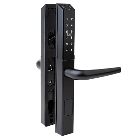 ����� �����������, ����� �� ������ ����������� Apecs Smart HPE-8201-BLM (TTLock, BLE, FP), ��� ��������������